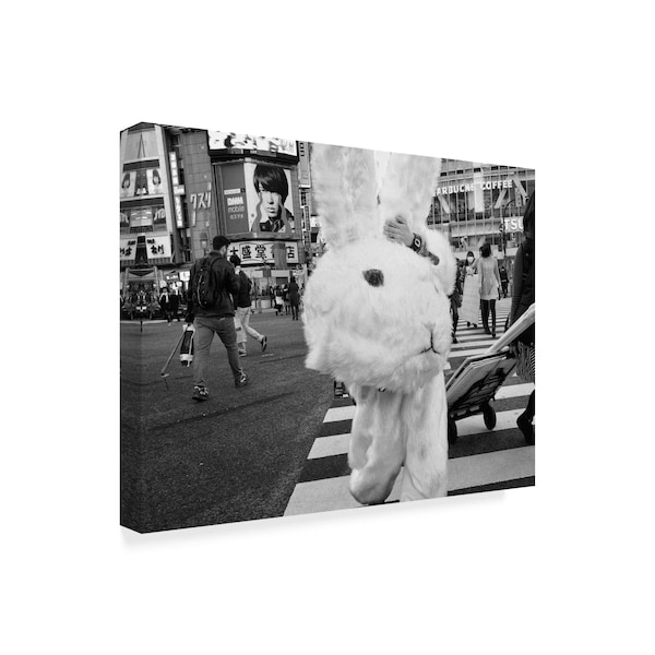 Tatsuo Suzuki 'The Bunny Suit' Canvas Art,14x19